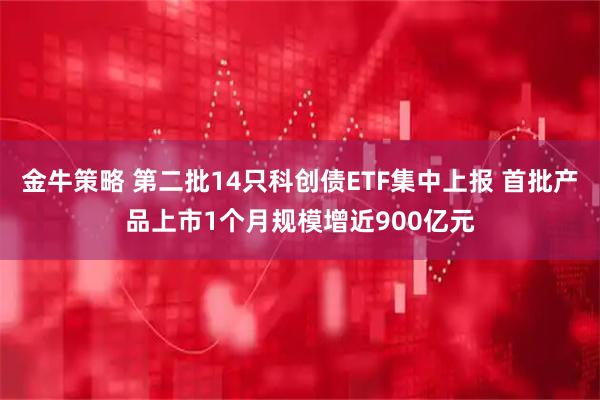 金牛策略 第二批14只科创债ETF集中上报 首批产品上市1个月规模增近900亿元